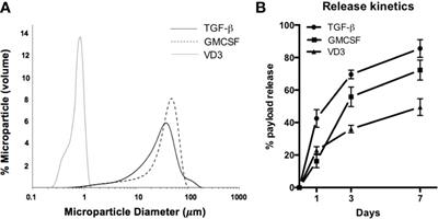 Immunomodulatory Dual-Sized Microparticle System Conditions Human Antigen Presenting Cells Into a Tolerogenic Phenotype In Vitro and Inhibits Type 1 Diabetes-Specific Autoreactive T Cell Responses